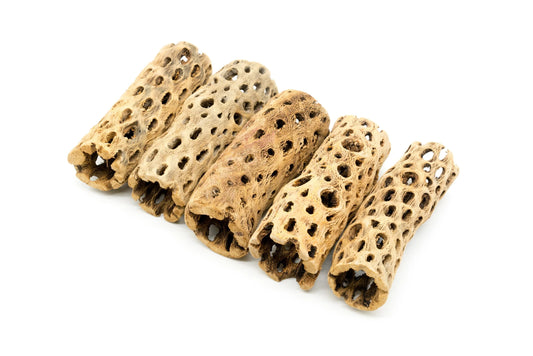 Cholla Driftwood Sticks