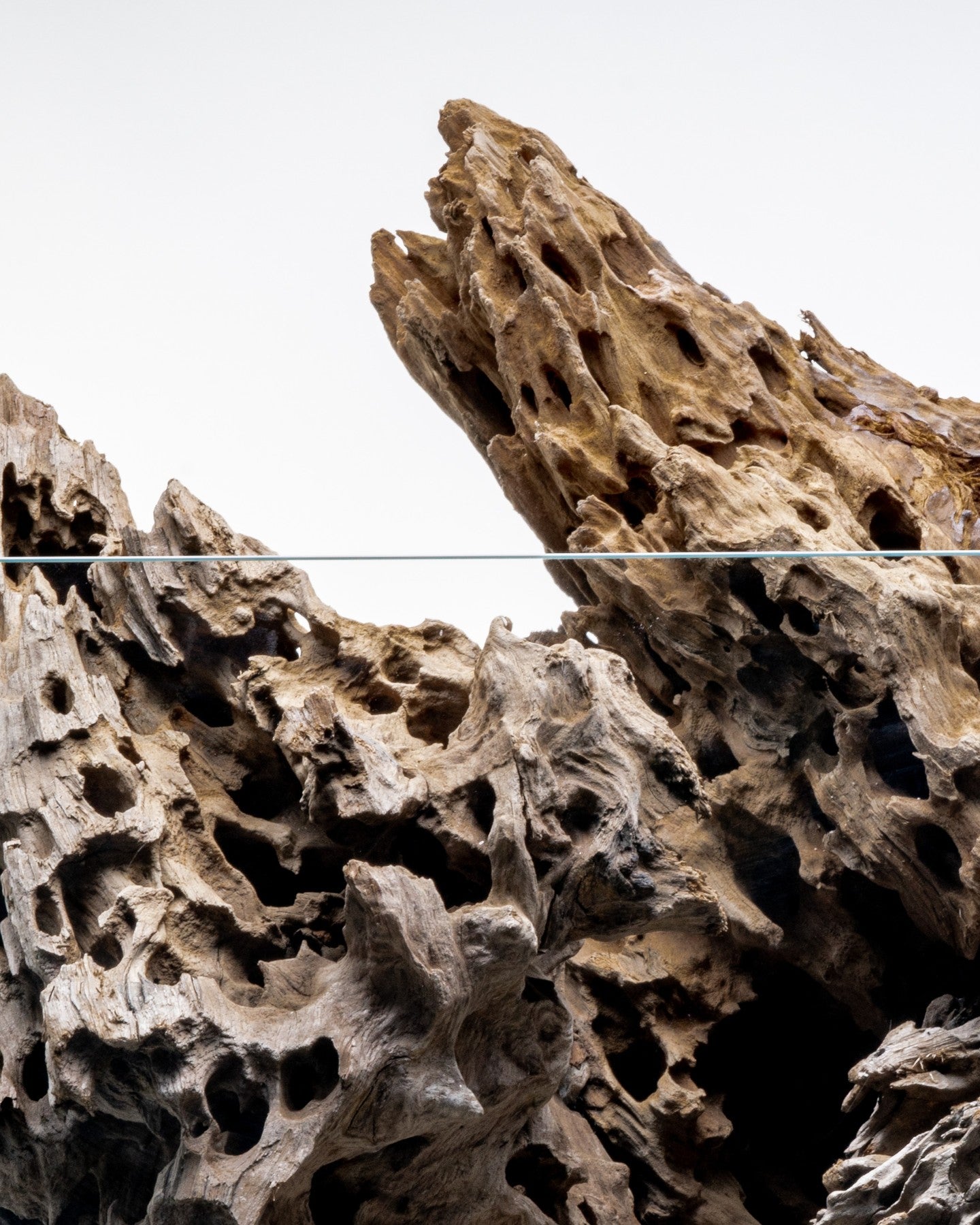 Dragon Driftwood | Aquascape Grade