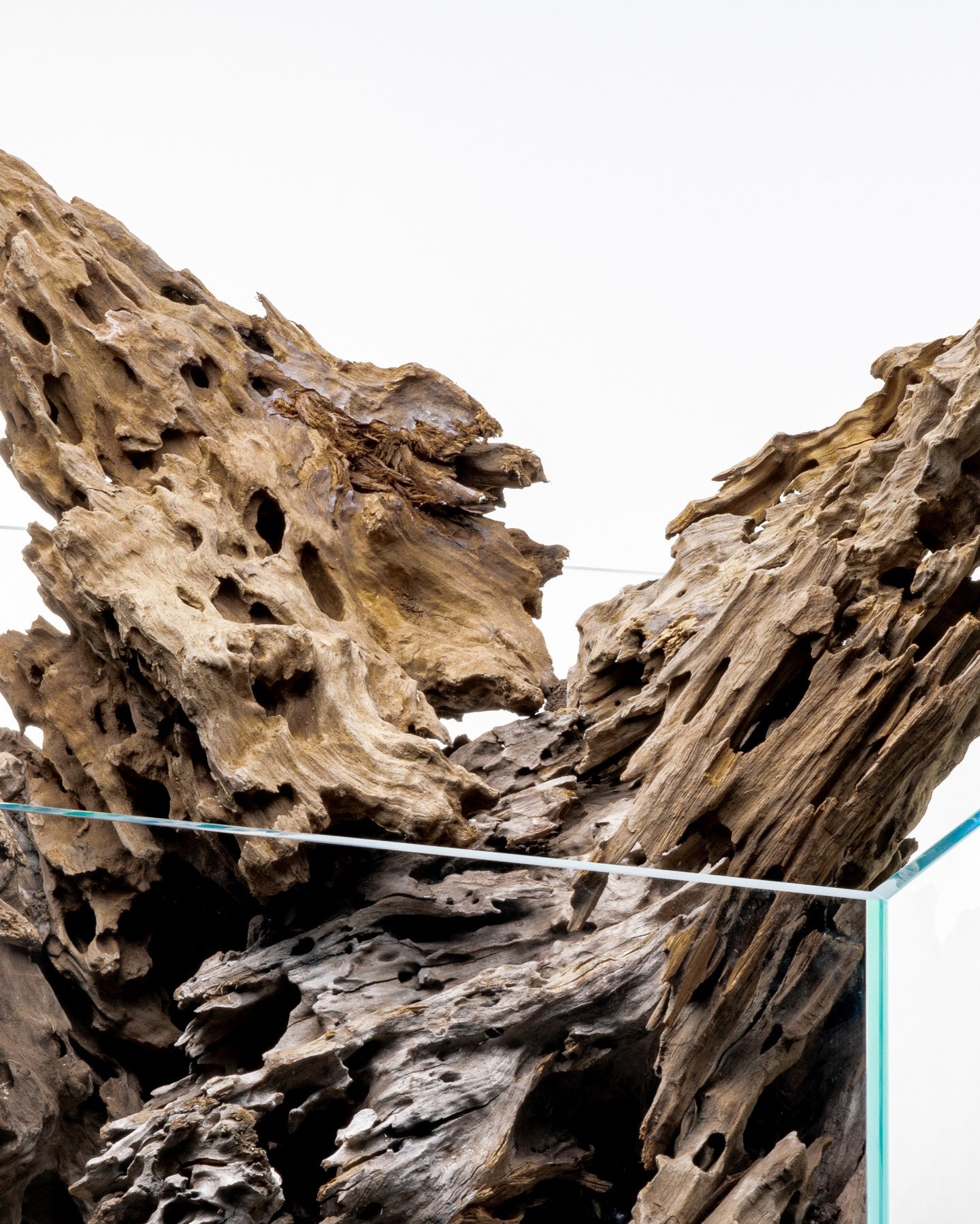 Dragon Driftwood | Aquascape Grade