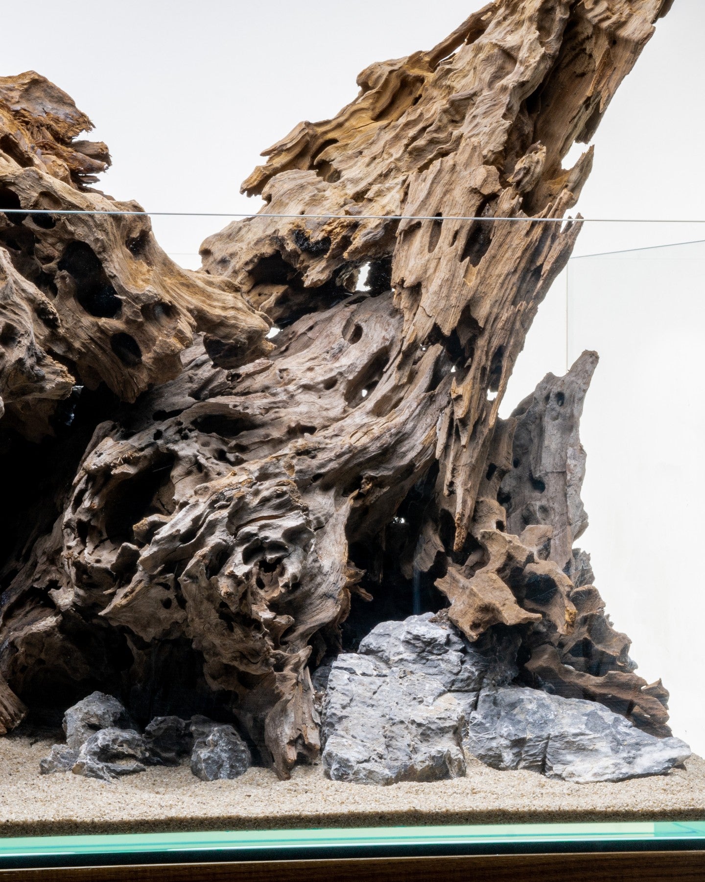 Dragon Driftwood | Aquascape Grade