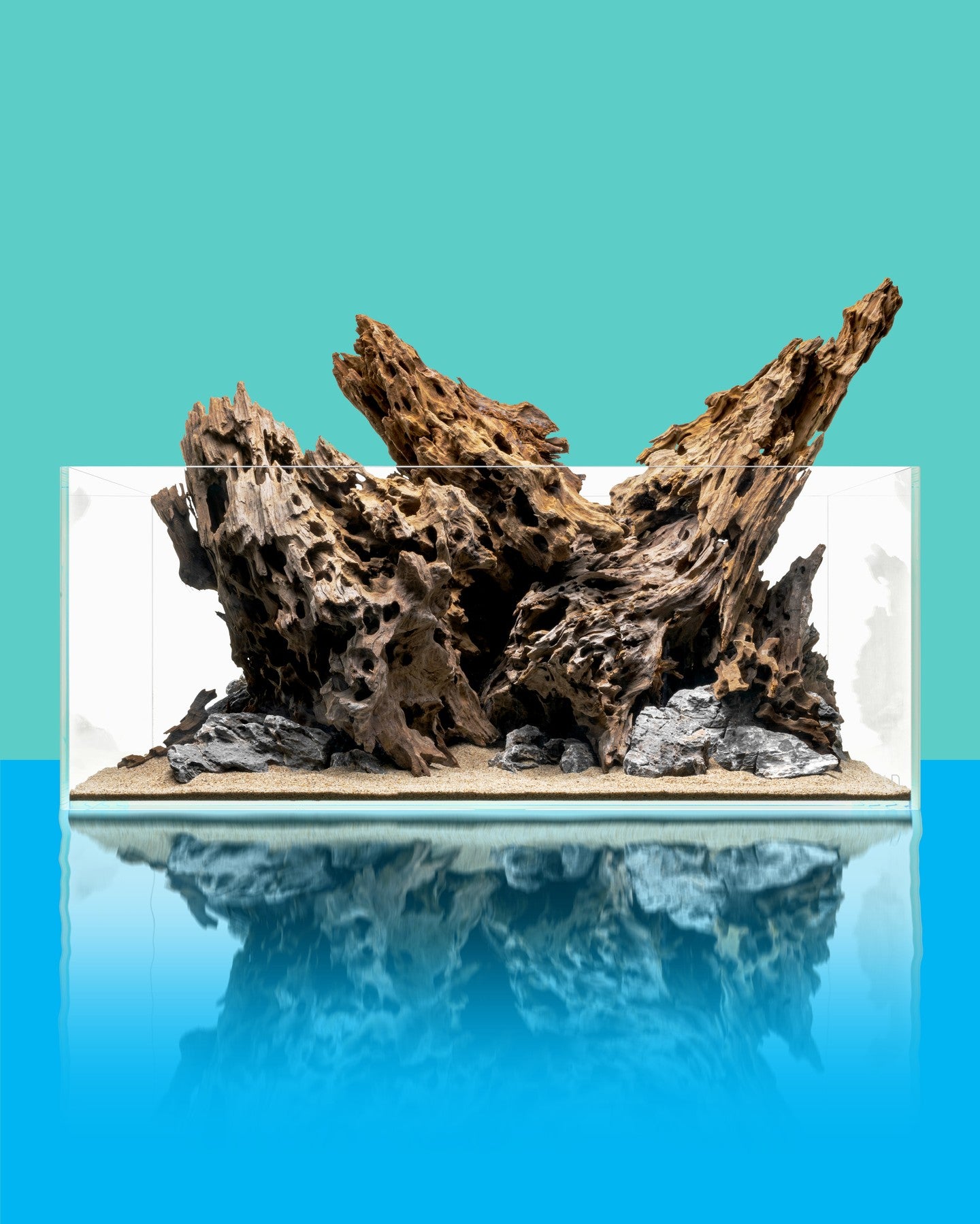 Dragon Driftwood | Aquascape Grade