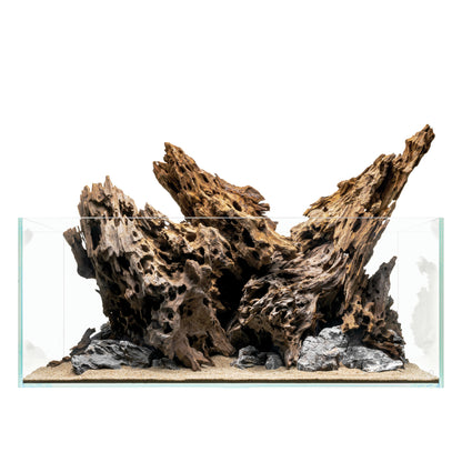 Dragon Driftwood
