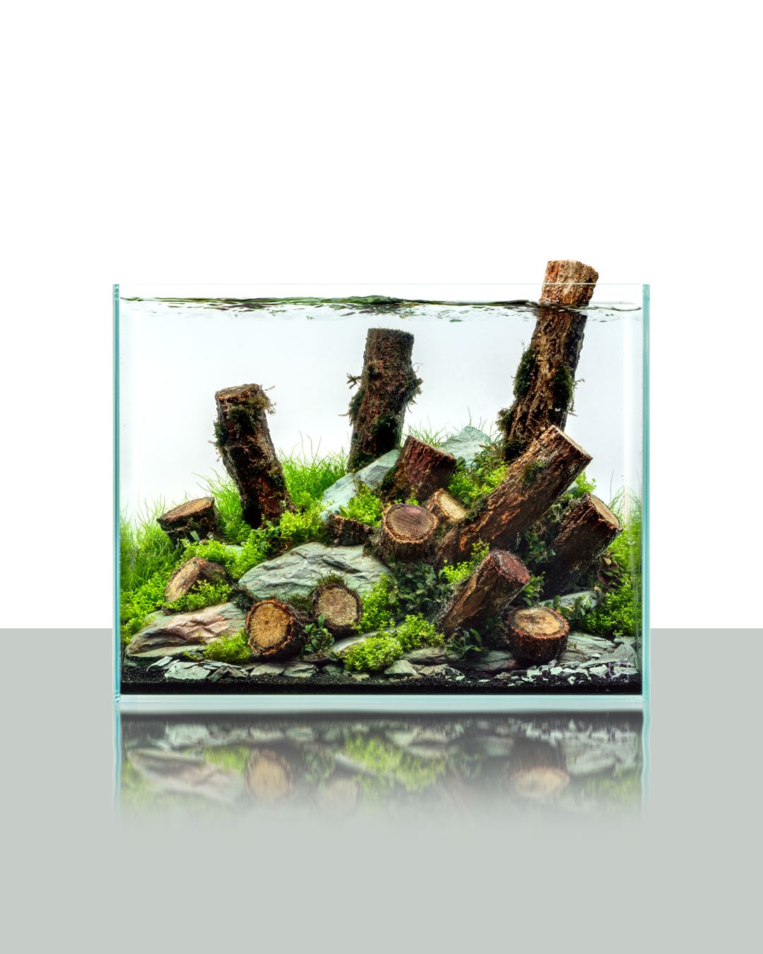Log Wood | Easy Position Aquascape Wood