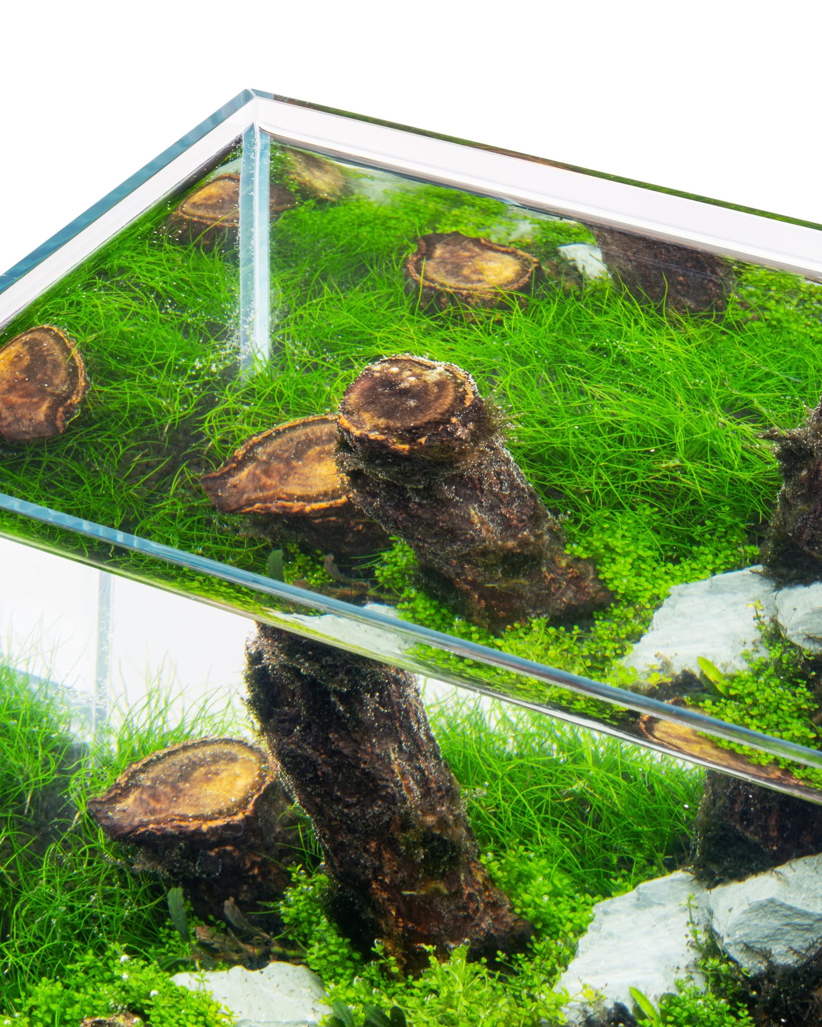 Log Wood | Easy Position Aquascape Wood