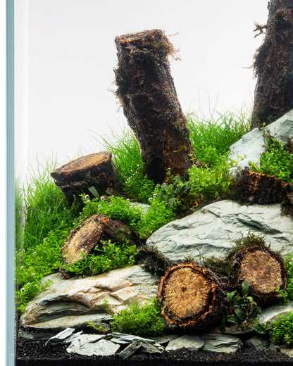 Log Wood | Easy Position Aquascape Wood