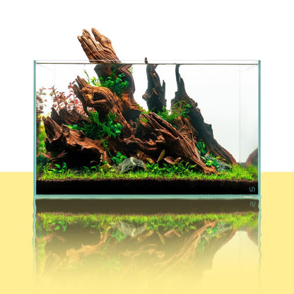 Malaysian Driftwood for Planted & Nature Tanks