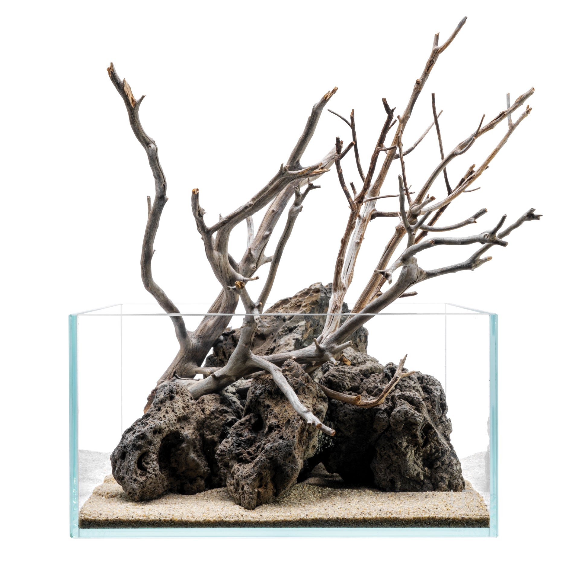 Manzanita Driftwood | Linear Form
