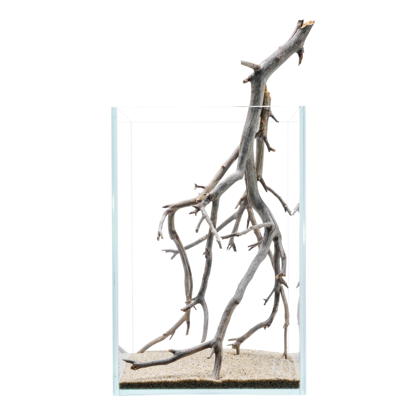 Manzanita Driftwood | Linear Form