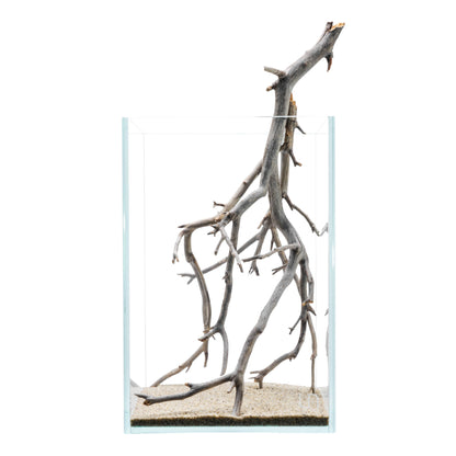 Manzanita Driftwood | Linear Form