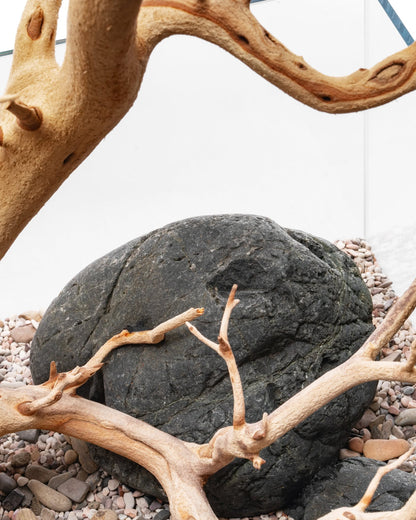 Sandblasted Manzanita Driftwood