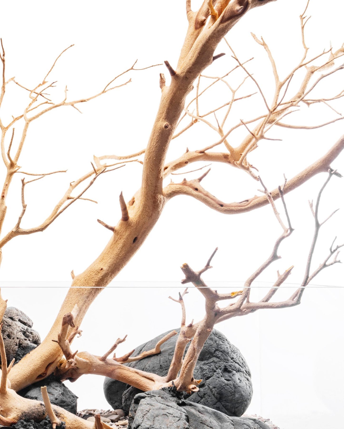 Sandblasted Manzanita Driftwood