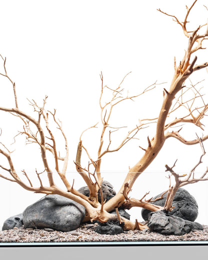 Sandblasted Manzanita Driftwood
