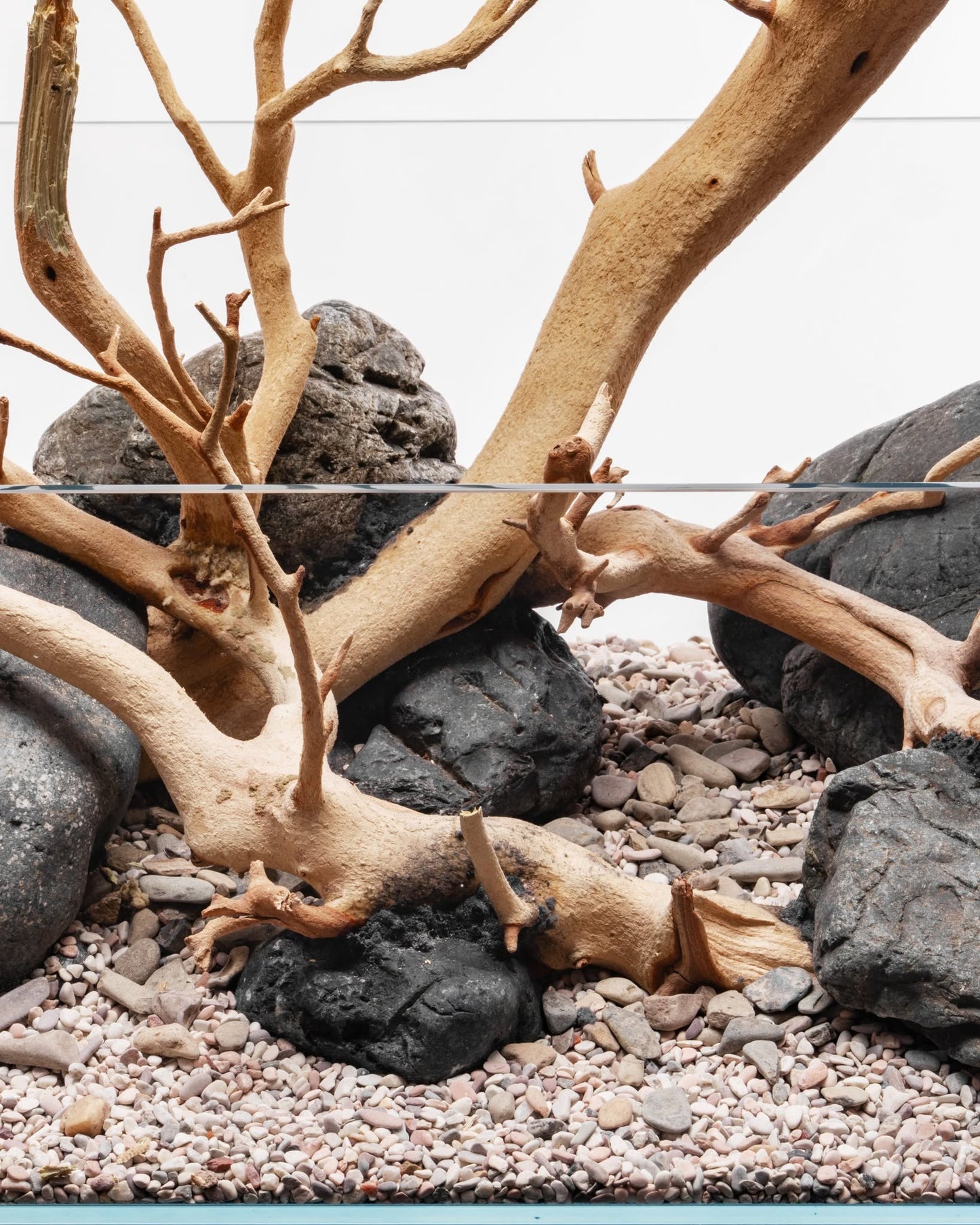 Sandblasted Manzanita Driftwood