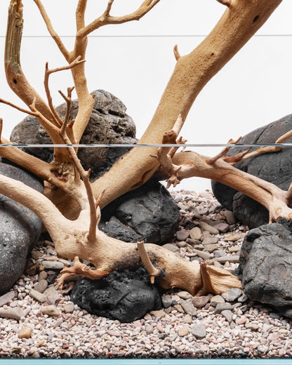 Sandblasted Manzanita Driftwood