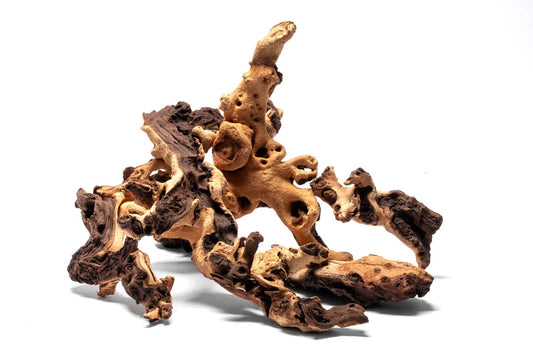 Mopani Driftwood | Biotope & Blackwater Wood