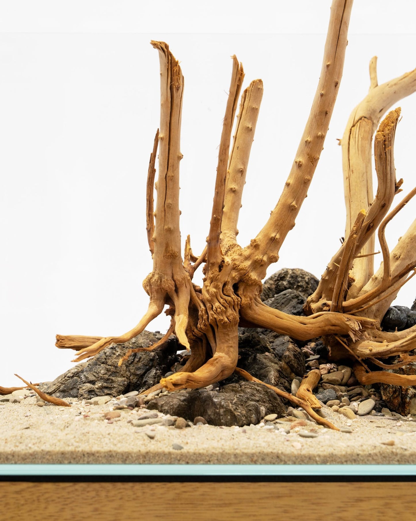 Spider Driftwood | Designer Hardscape
