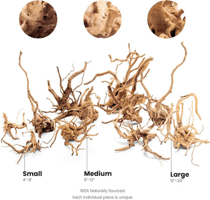 Spider Driftwood | Designer Hardscape